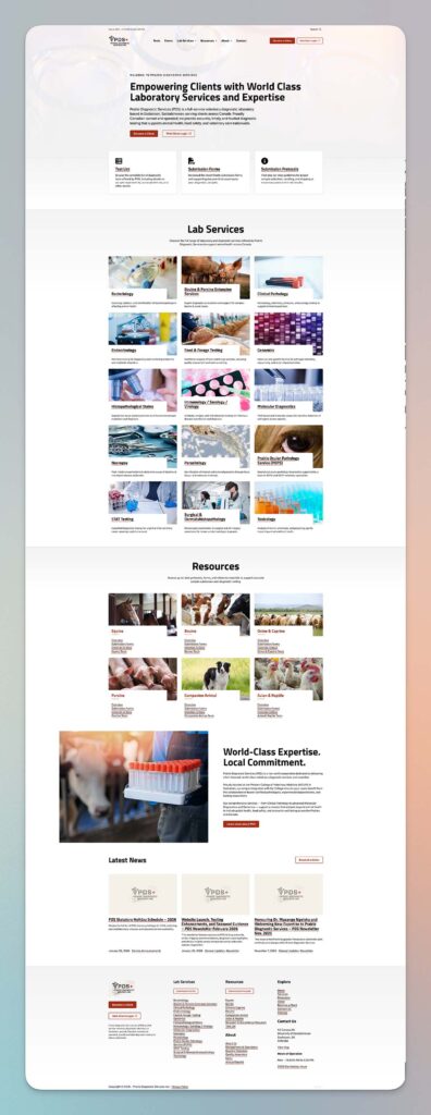 Device displaying the web design for PDS Inc